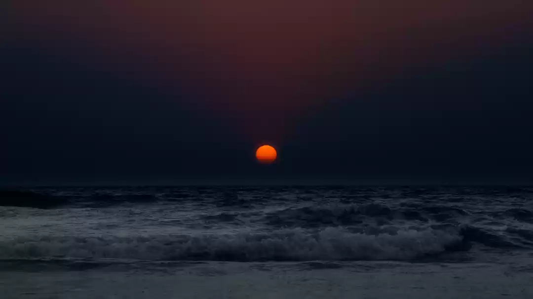 Photo of Purple Skies