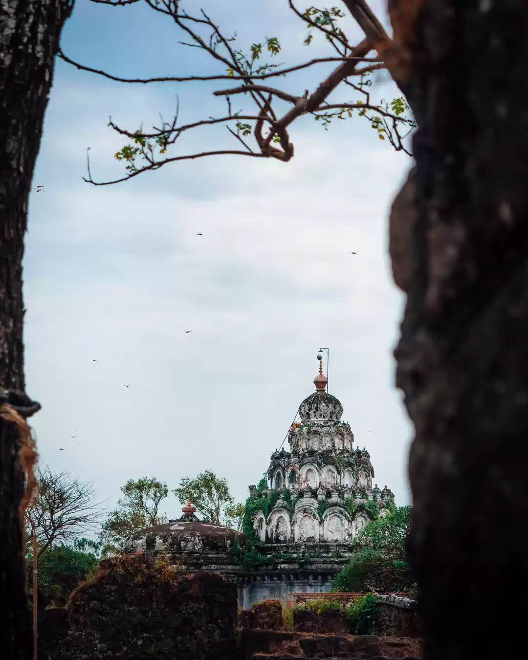 Photo of Astounding Alibag