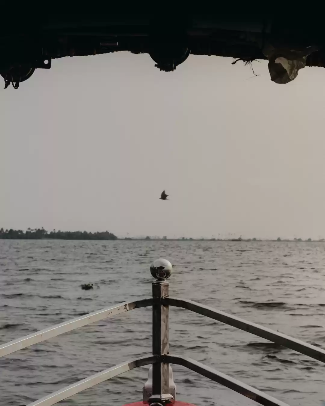 Photo of and freeze