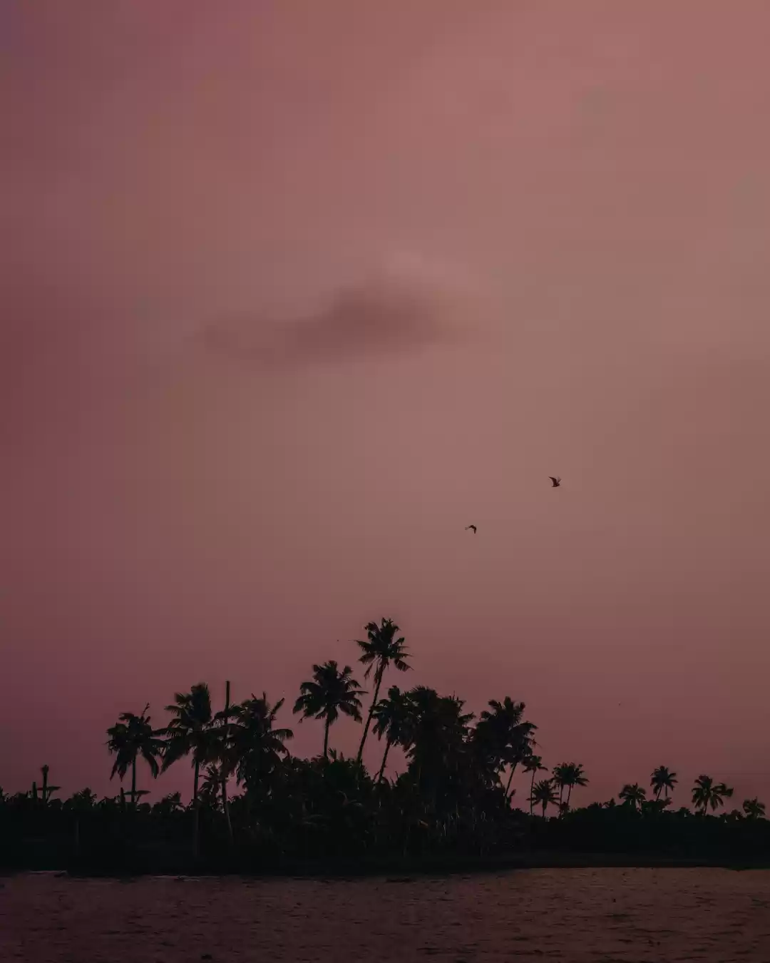 Photo of San Junipero