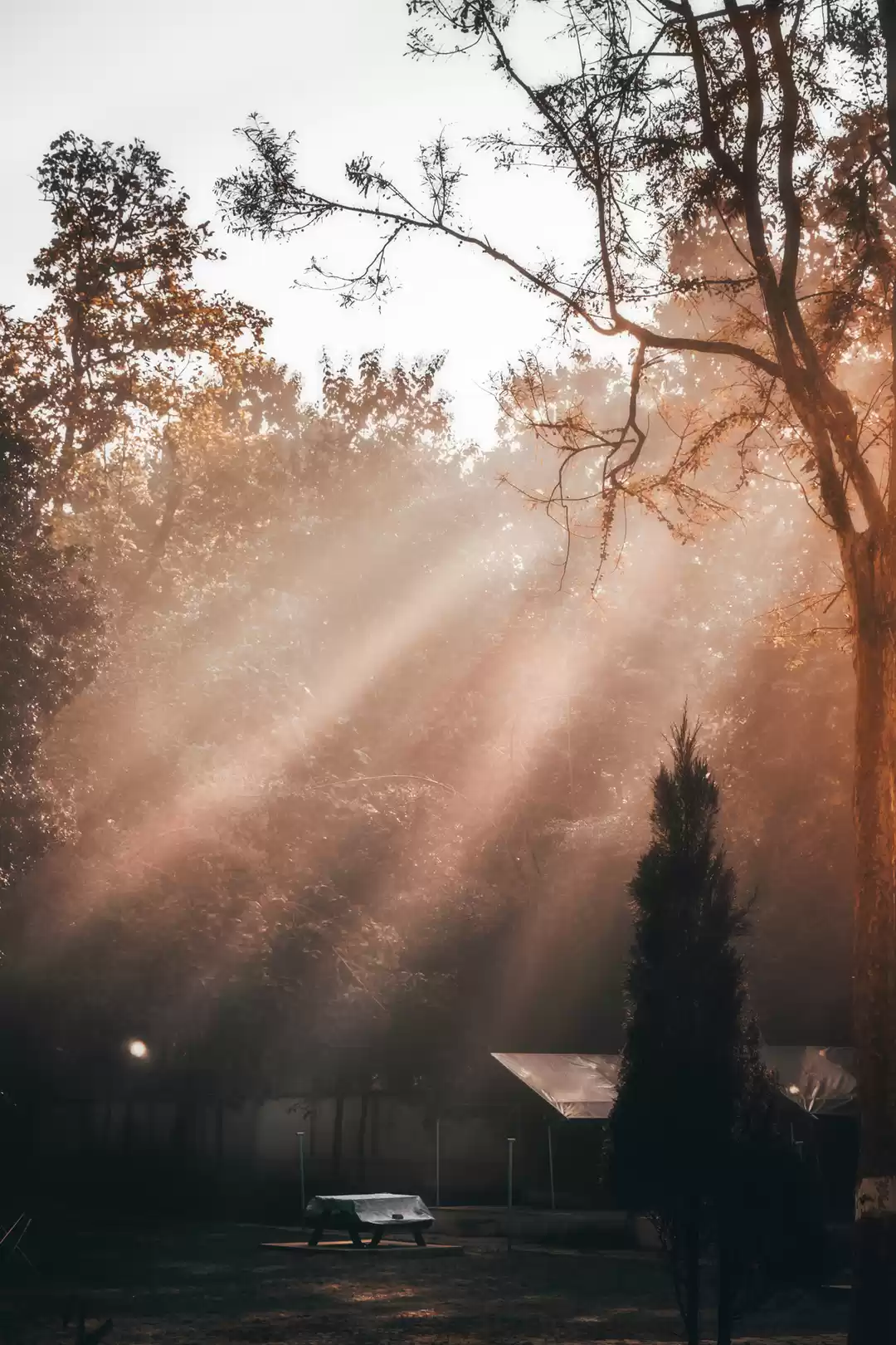 Photo of A Weekend Tale: Sun'