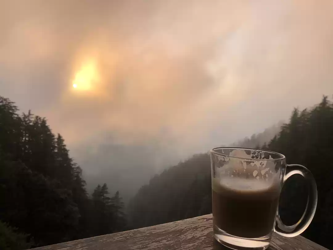 Photo of Cute Ivy Cafe- Lando