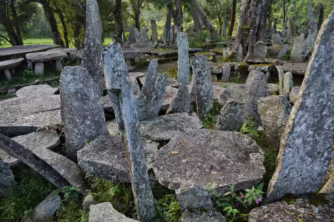 Photo of Trip to Jewels of Ja