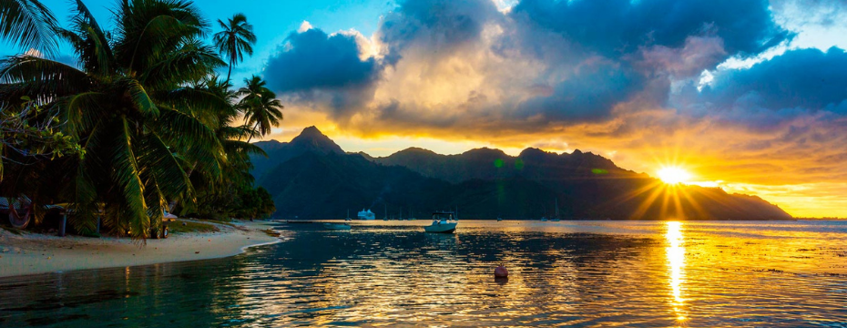 Photo of नए साल और क्रिसमस के