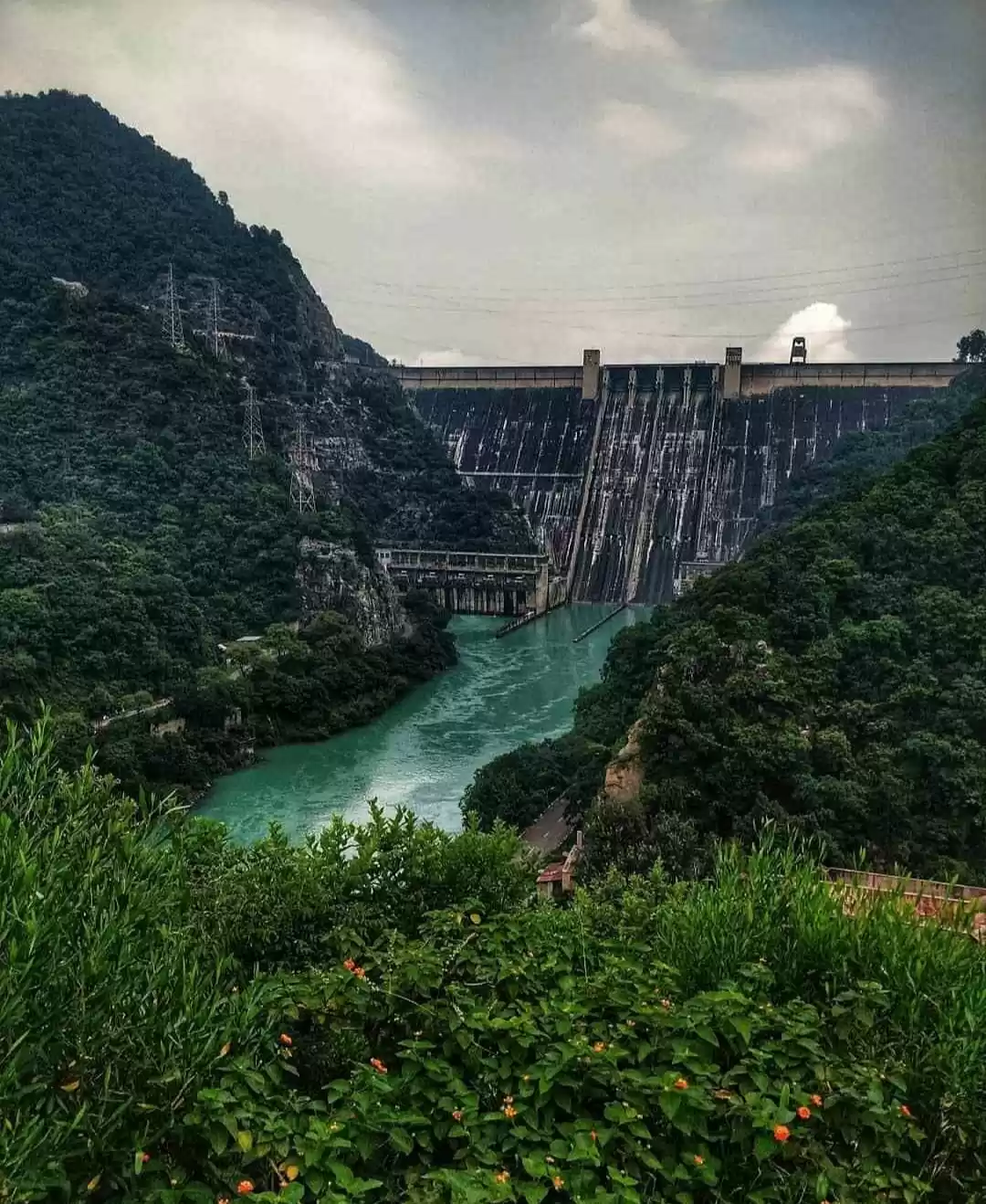 Photo of दुनिया की एकलौती ट्र