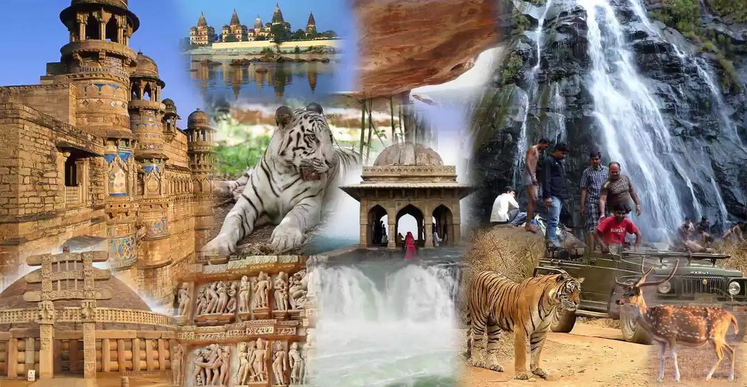 Photo of जानिए एक हफ्ते की छु