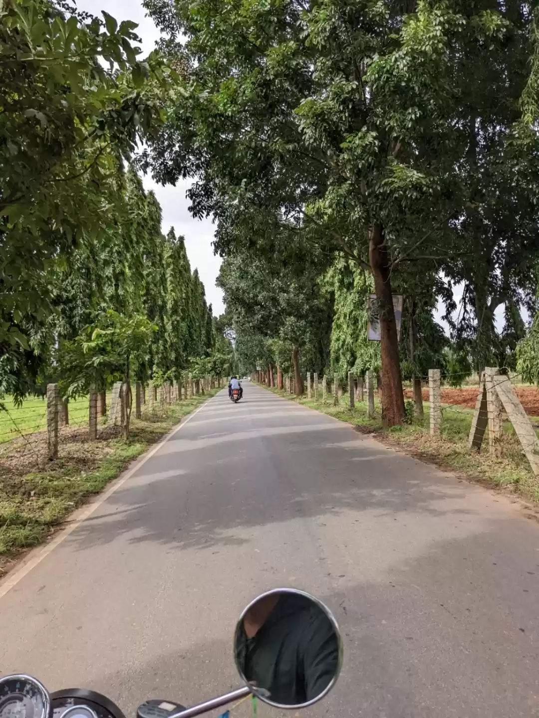 Photo of Enjoying a Bike Ride