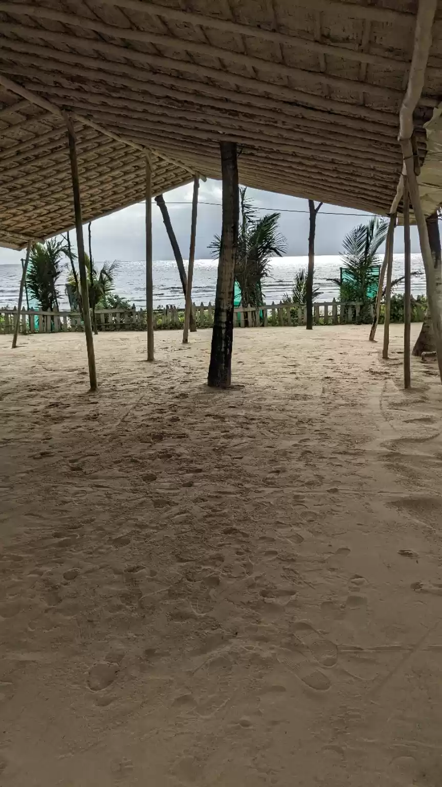 Photo of Zeebop, Utorda, Goa