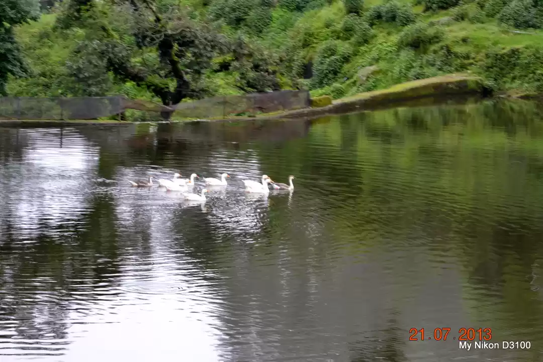 Photo of Lansdowne And Tarkes