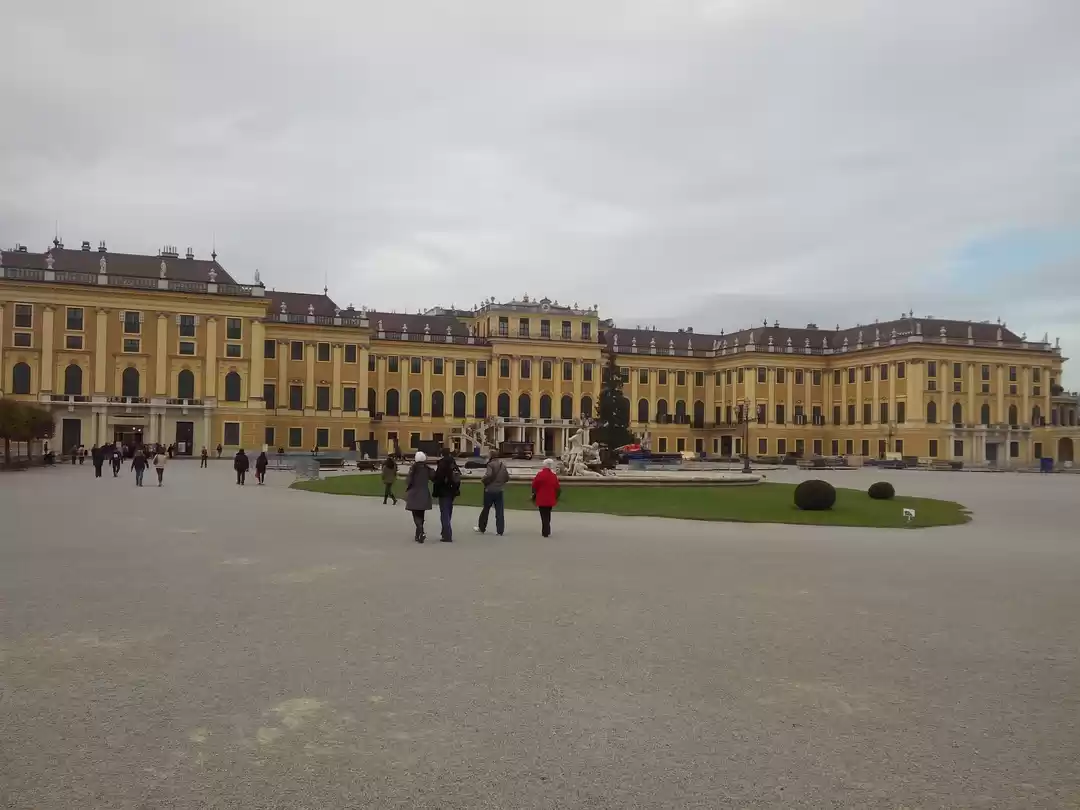 Photo of The Vienna Story
