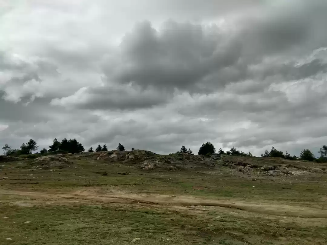 Photo of Discovering the elus