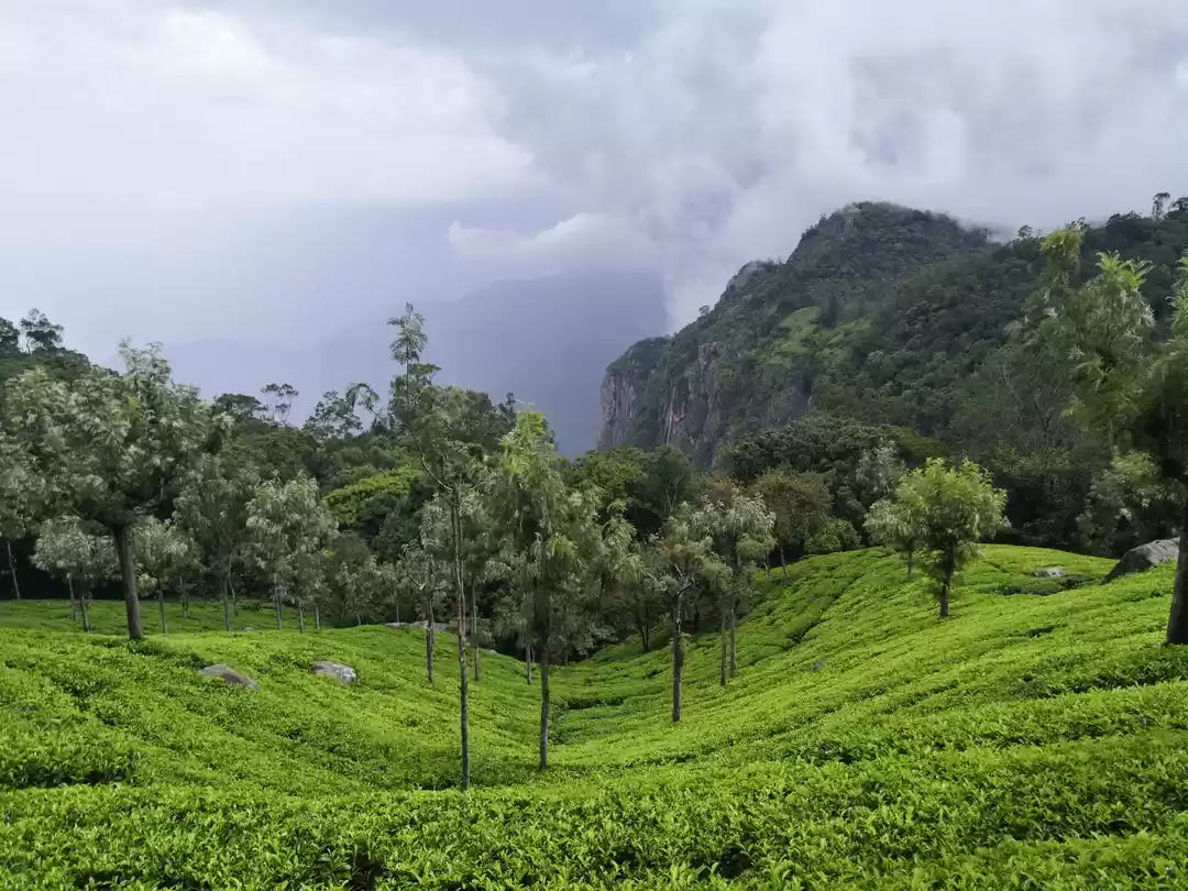 Photo of Monsoon in Ooty-Expl