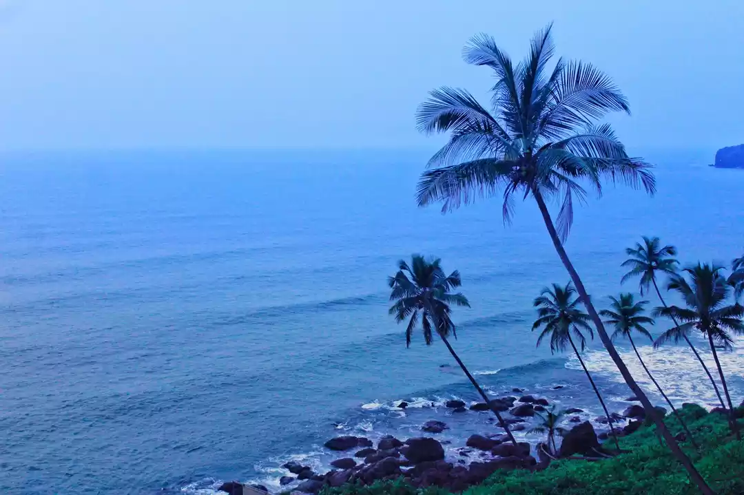 Photo of Beaches & Beyond: Ex