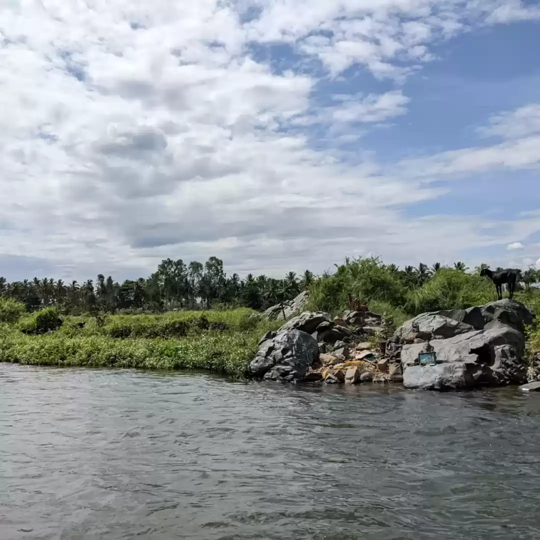 Photo of Head Over to This Ch