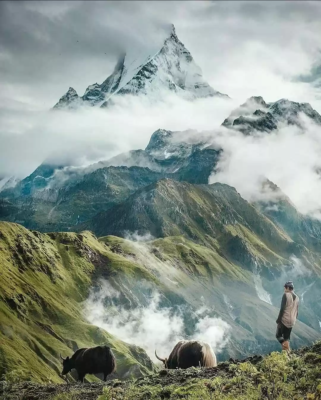 Photo of #indiatravelarea #in