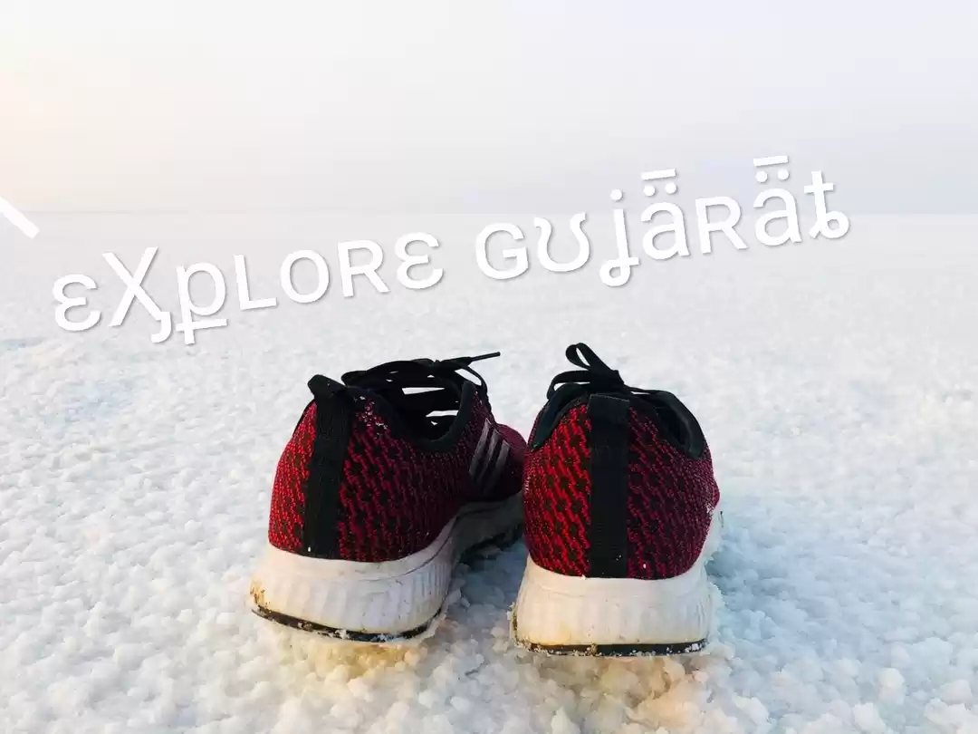 Photo of Rann of Kutch_Gujara