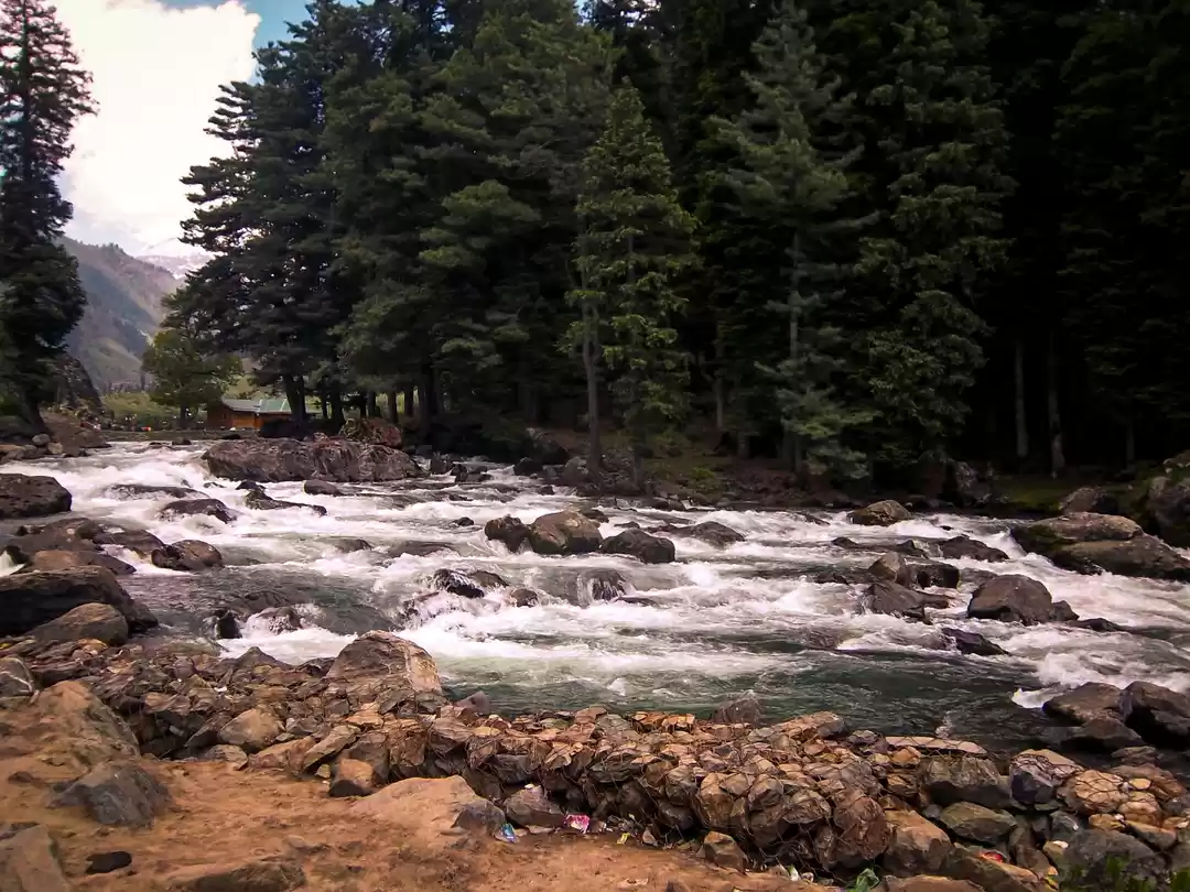 Photo of Lidder Riverside, Sr