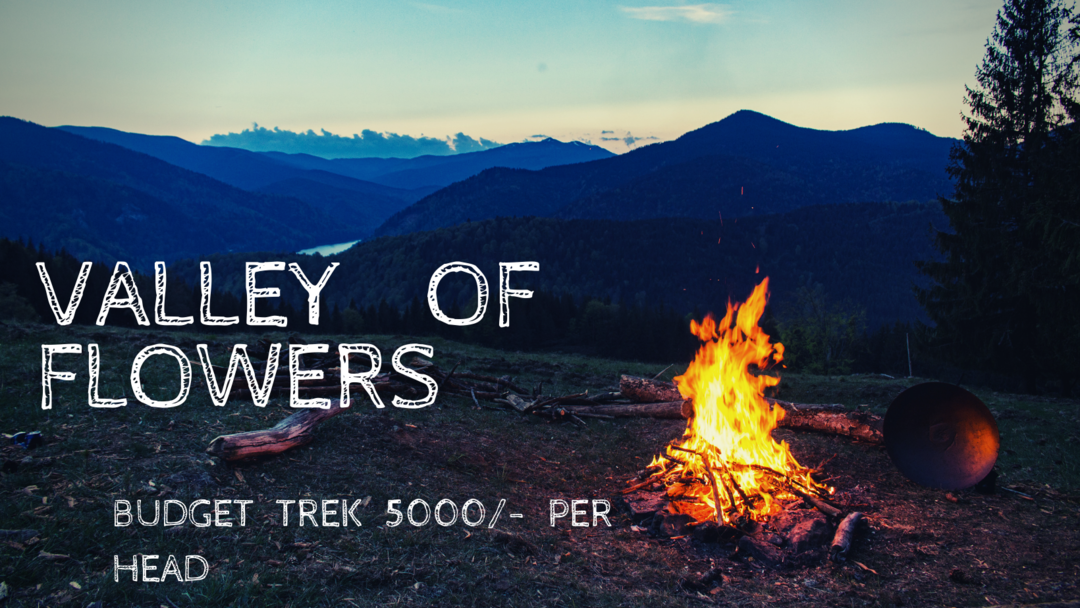 Photo of Valley of Flowers Bu