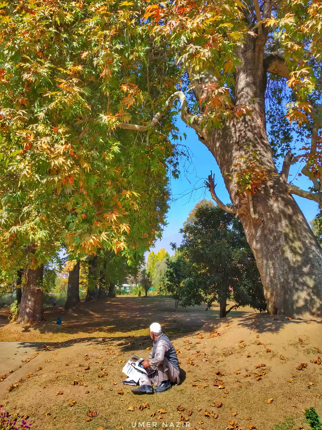 Photo of NISHAT GARDEN