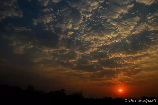 Photo of Bandhavgarh: Legend,