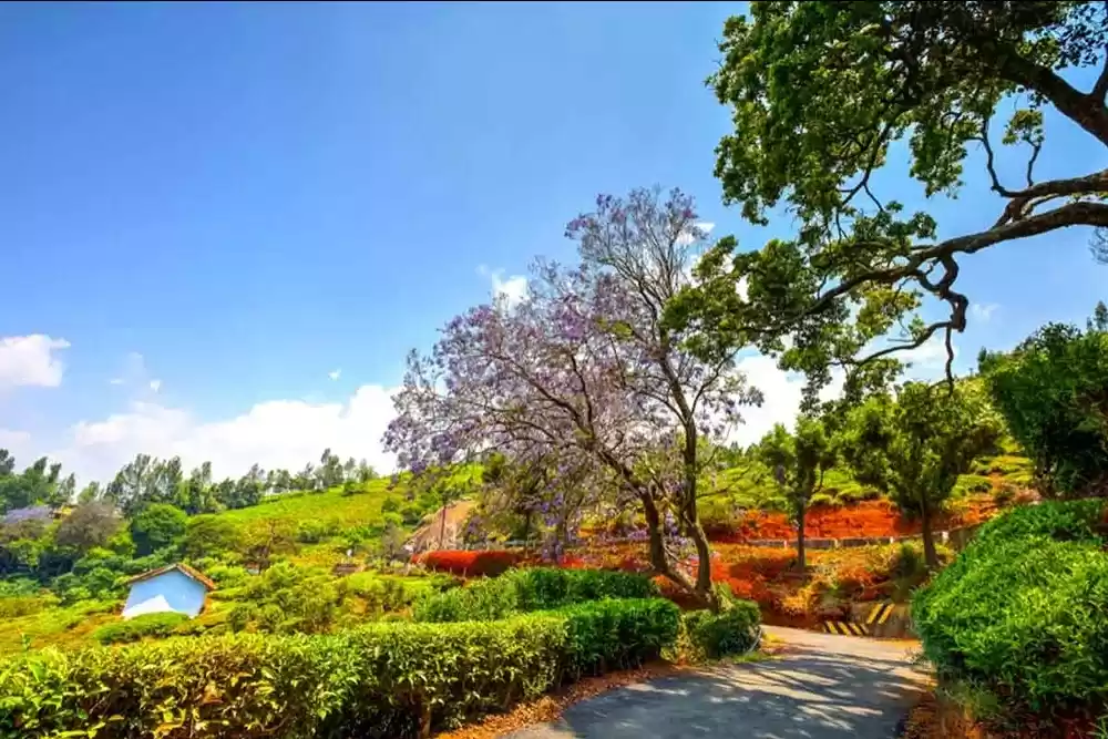 Photo of एक बेहद रोमांचक और ह