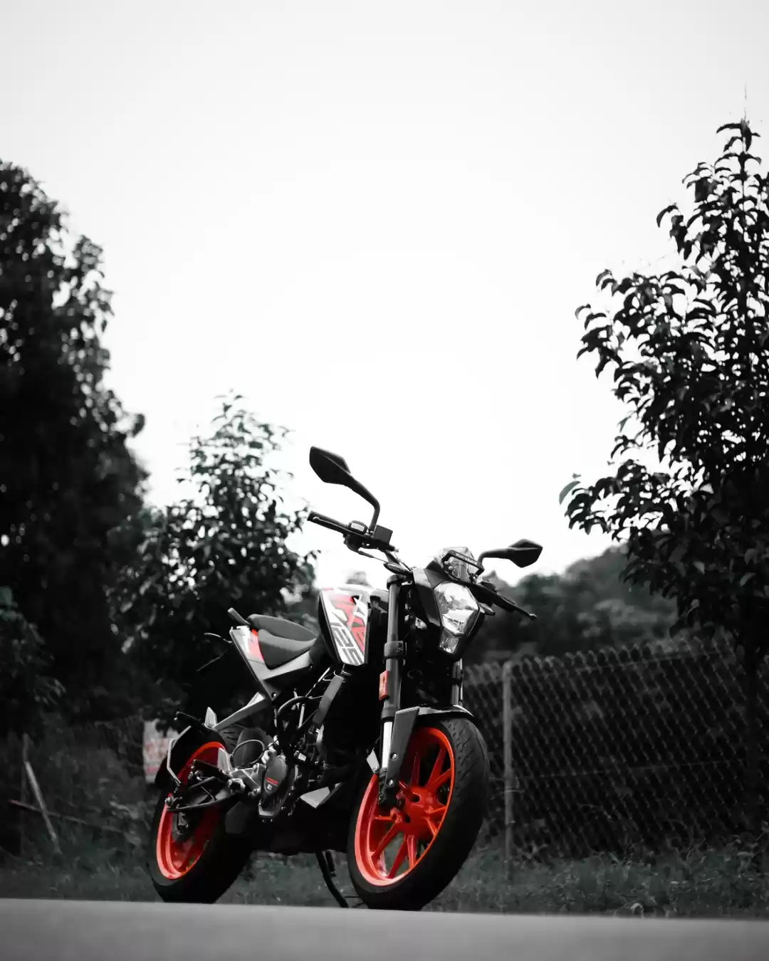 Photo of Duke 125, Motorcycle