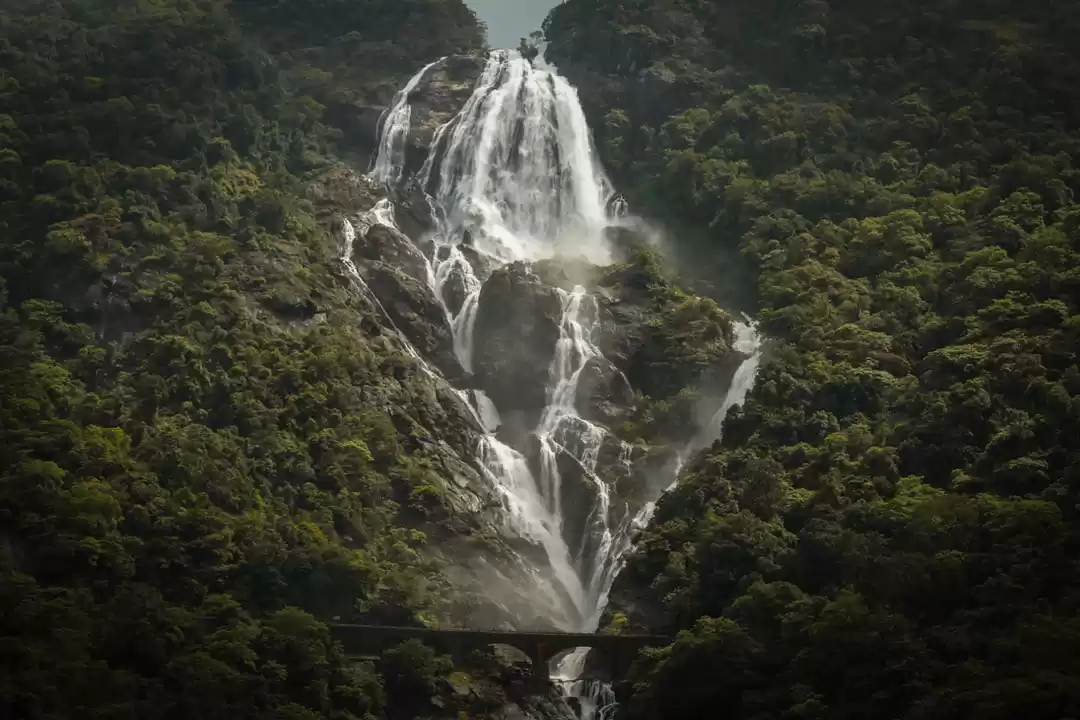 Photo of Dudhsagar Falls- Tak