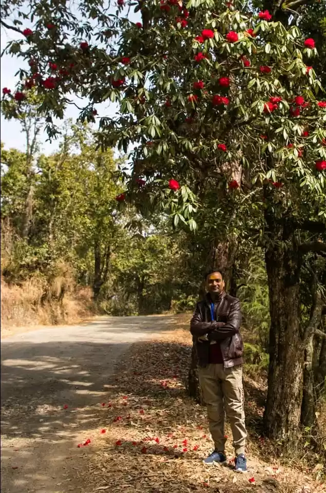 Photo of बुरांस के रंग 