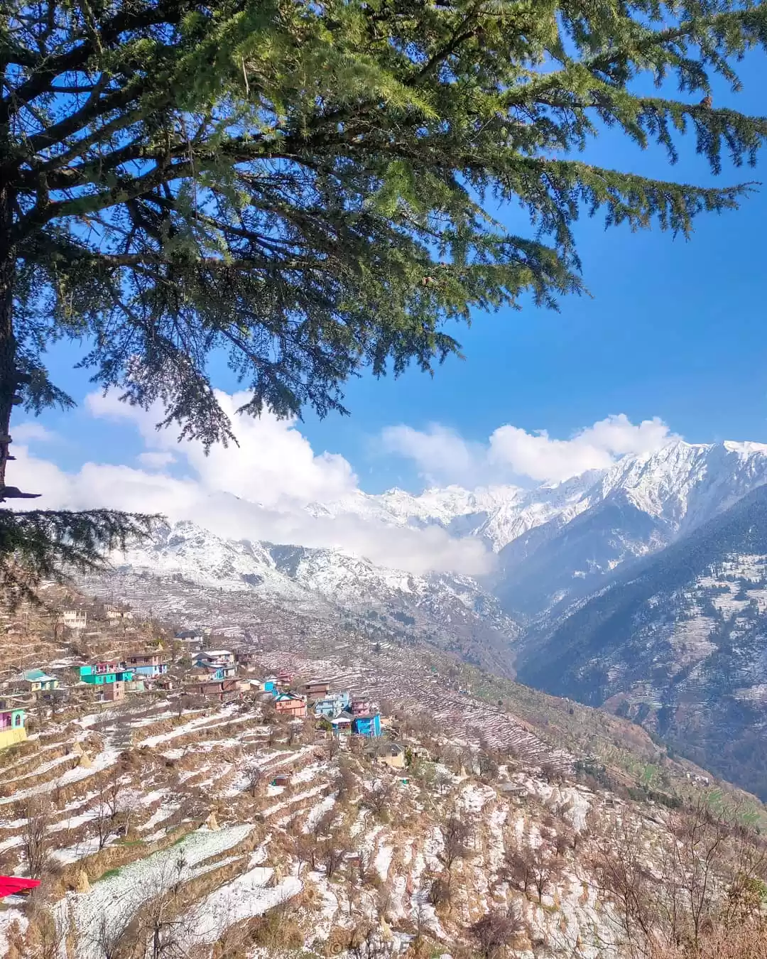 Photo of मेरी पहली और अद्भुत