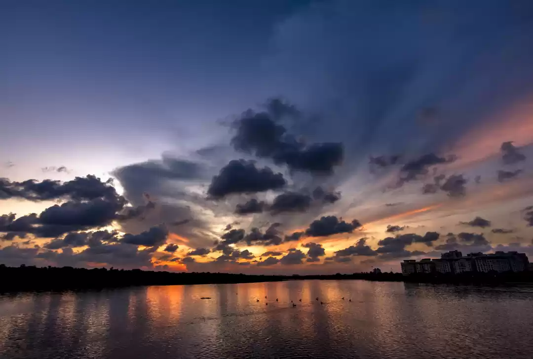 Photo of Chennai : My lil Par