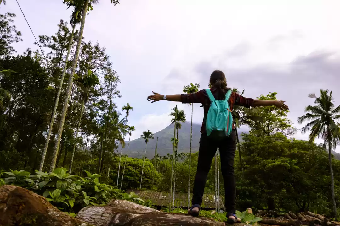 Photo of Wayanad In a Monsoon