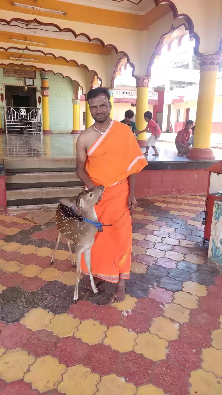 Photo of Mutt-Hubli 
