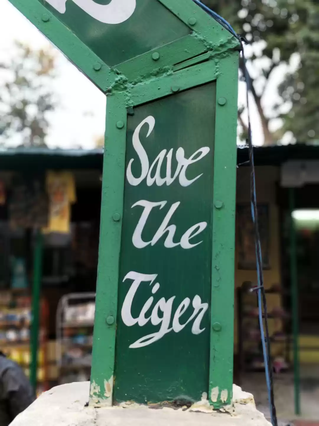 Photo of JIM CORBETT NATIONAL