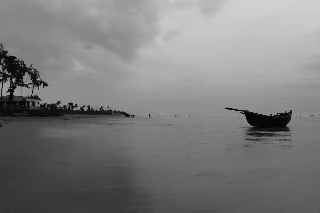 Photo of IN SEARCH OF VITAMIN