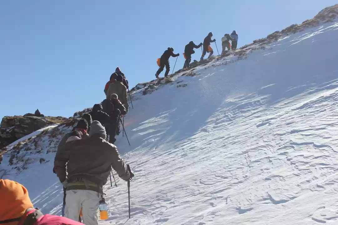 Photo of My first Himalayan a