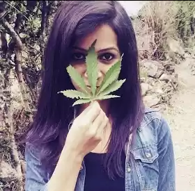 Photo of Kasol - The Mini Isr