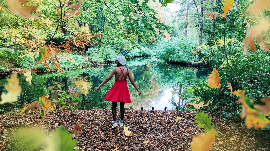 Photo of How to Travel With a