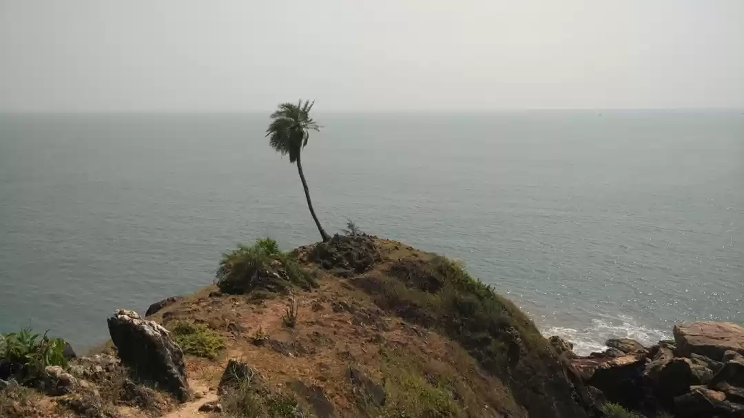 Photo of Om Beach – The Quint