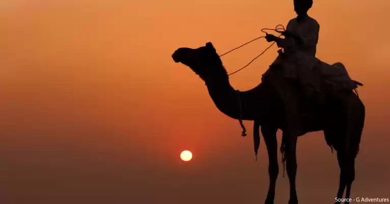 Photo of Desert camel safari.