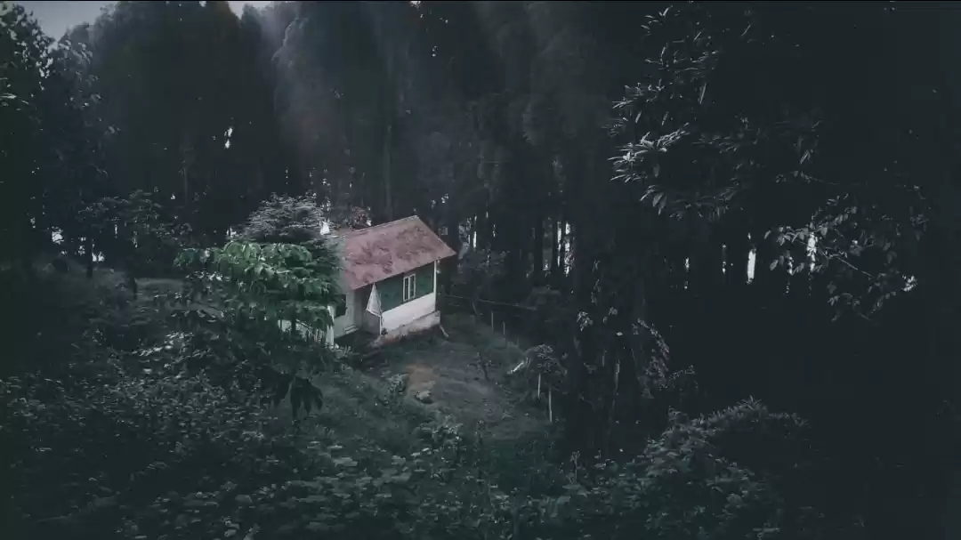 Photo of Lepcha jagat Trip