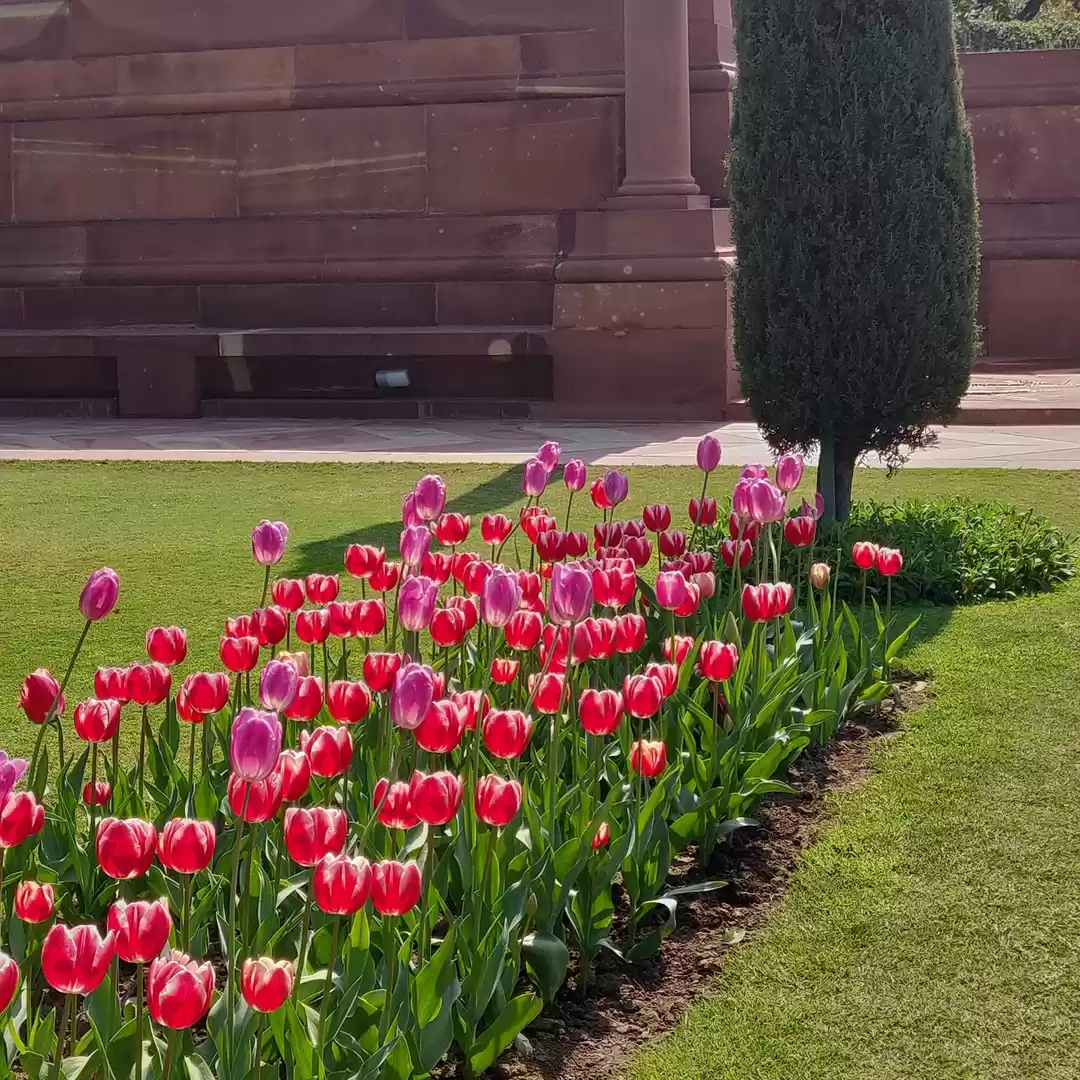 Photo of An evening at Mughal