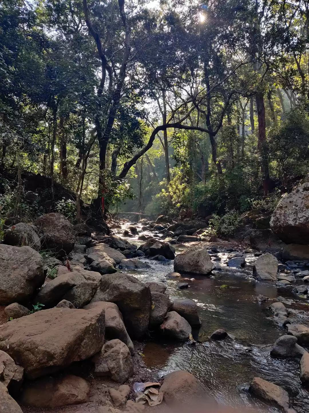 Photo of Trip Amarkantak