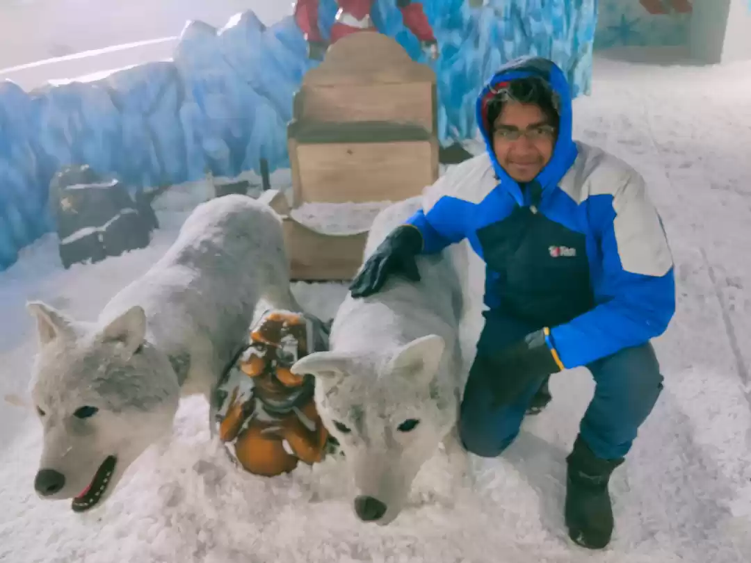 Photo of Snow World in DLF Ma