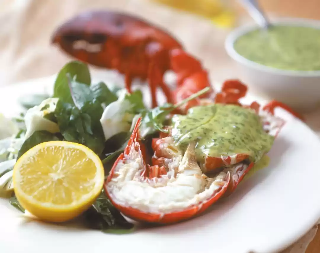 Photo of 6 Best Caribbean Spe