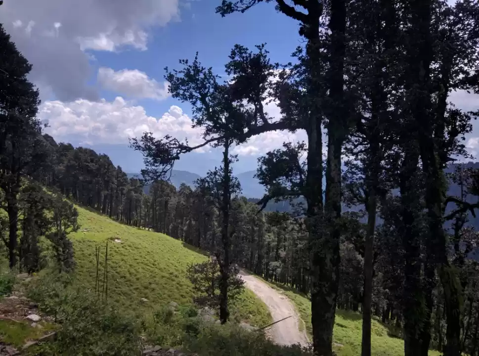 Photo of Trippin' in Tiago- R