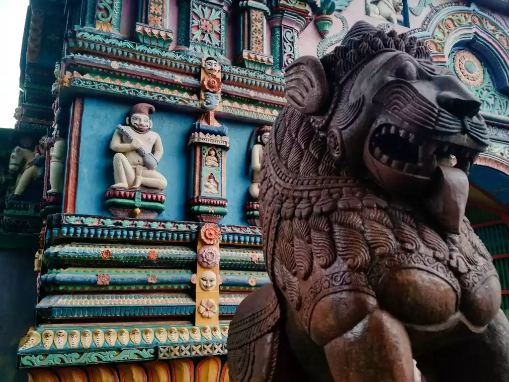 Photo of Journey to Joranda