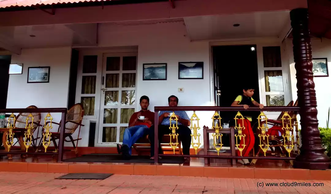 Photo of Majestic Munnar!!!