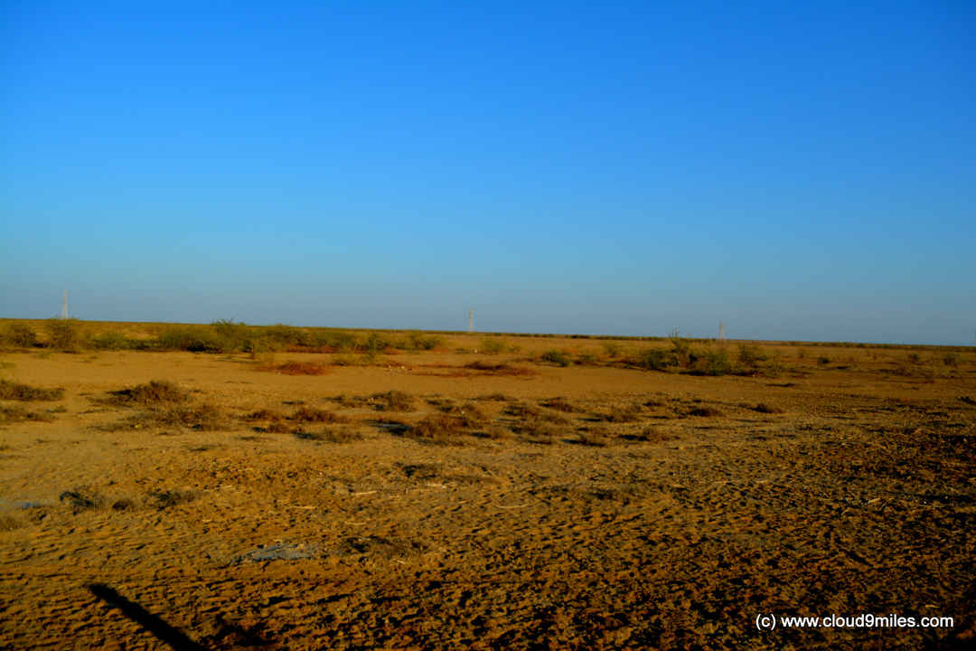 Photo of Rann Utsav – It's vast and infinite!