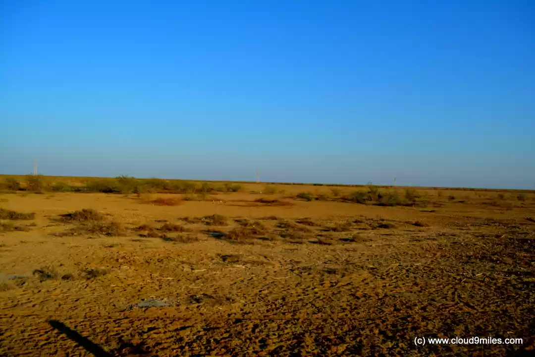Photo of Rann Utsav – It's va