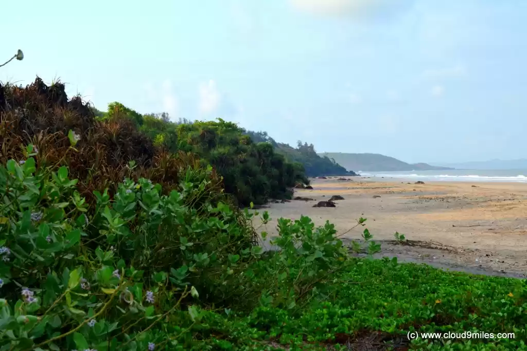 Photo of Beautiful beaches of